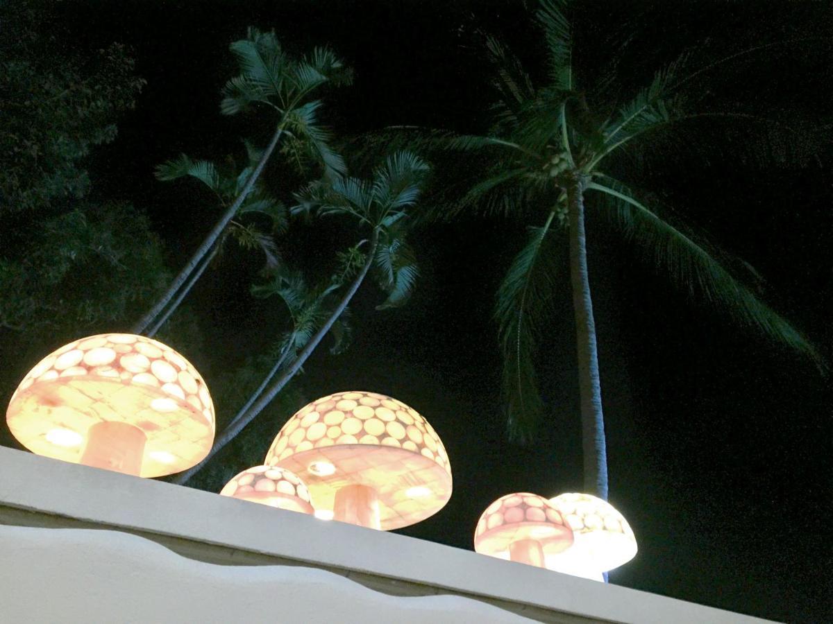 Villa Palmitas Acogedor Departamento Nivel Piscina Gigante Jardines อากาปุลโก ภายนอก รูปภาพ